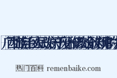 广西壮族自治区人民政府关于废止和修改部分政府规章的决定是什么意思的图片